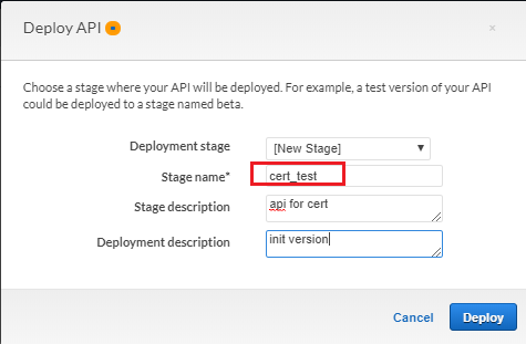 API_Deploy_stage_name.png